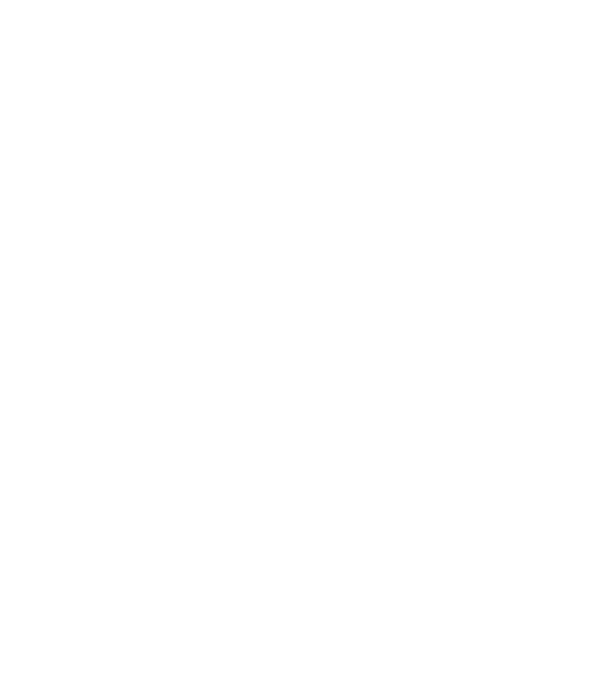 自分用に思い切って購入